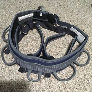 Black Diamond Climbing Harness